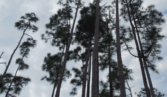 3-1-13 Class Trip 132