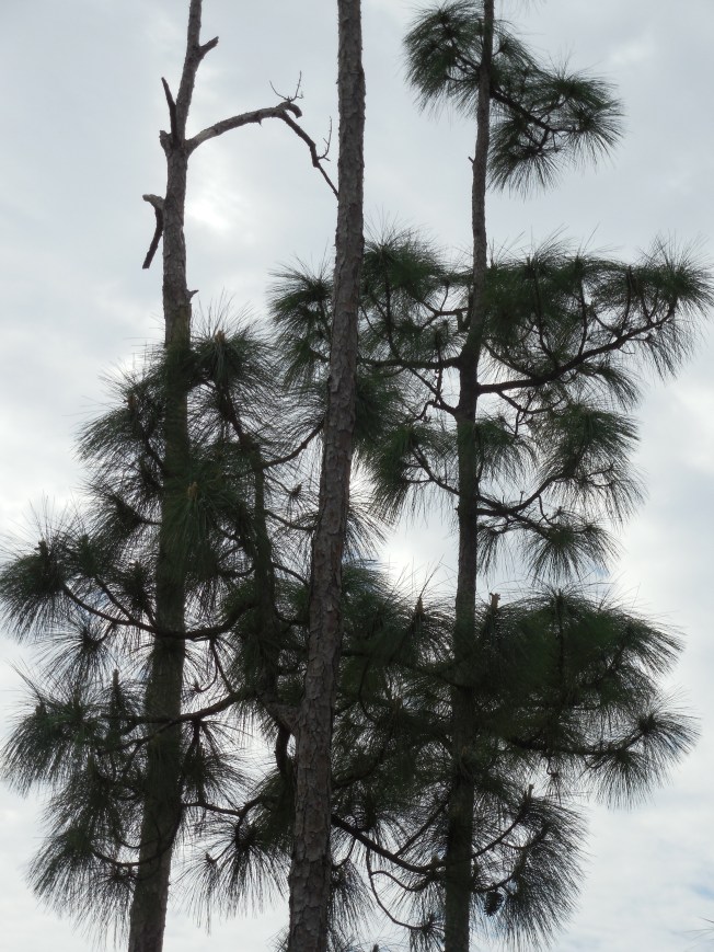 3-1-13 Class Trip 135