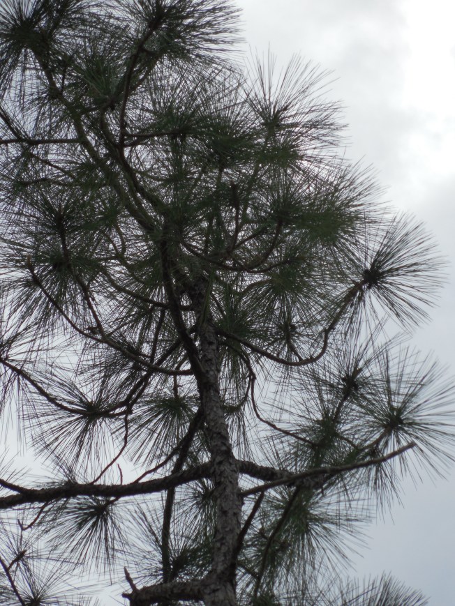 3-1-13 Class Trip 138