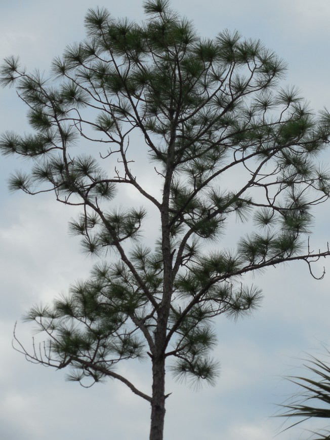 3-1-13 Class Trip 140