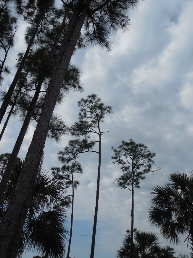 3-1-13 Class Trip 141