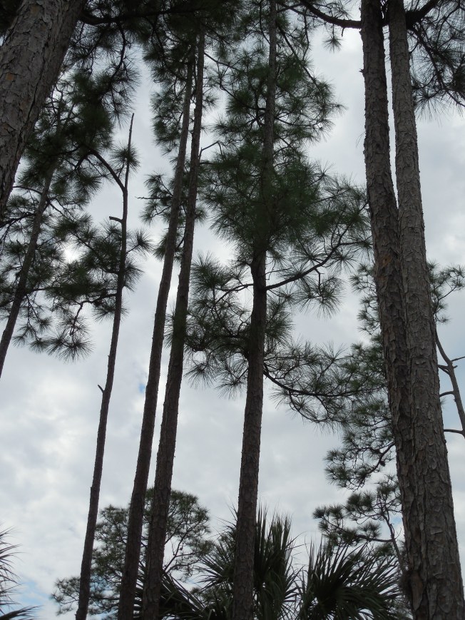 3-1-13 Class Trip 143