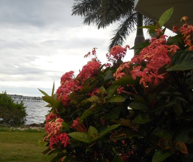 1-2-13 Gilchrist (Sat.) 065