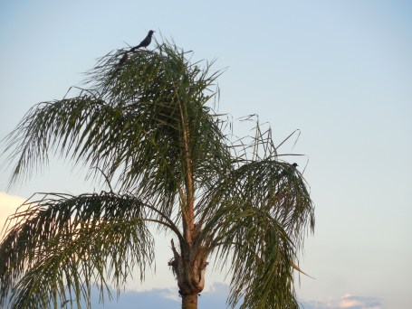 10-19-13 Golf Course 140