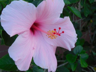 10-22-13 golf course 050