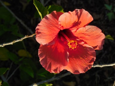 10-22-13 golf course 053