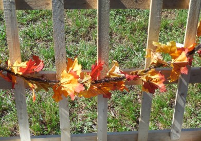 10-27-13 Calvary 067