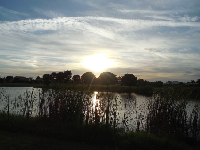 10-31-13 Golf Course 187