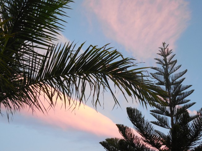 11-1-13 Class Trip 005