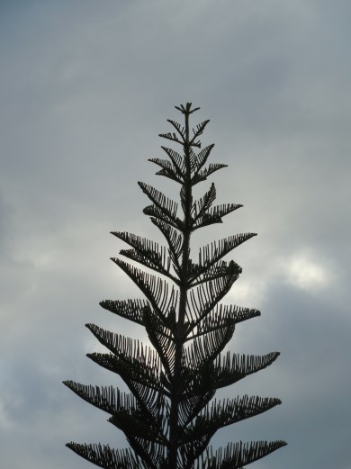 11-10-13 Outreach at The Palms 034