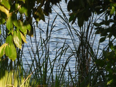 11-28-13-Happy Thanksgiving 053