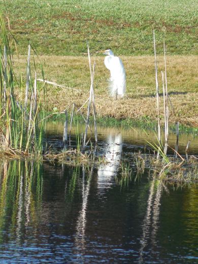 11-28-13-Happy Thanksgiving 088