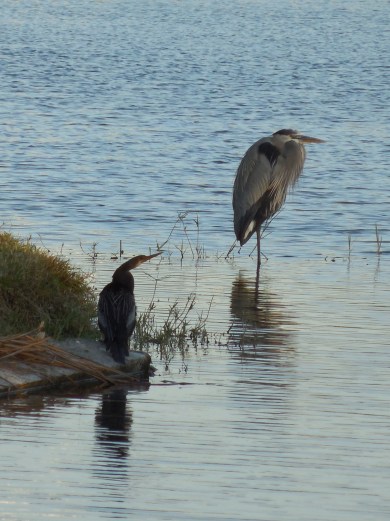 11-28-13-Happy Thanksgiving 188