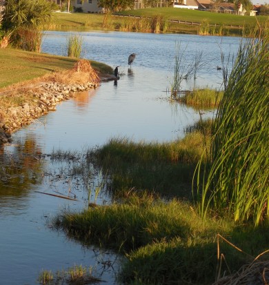 11-28-13-Happy Thanksgiving 189