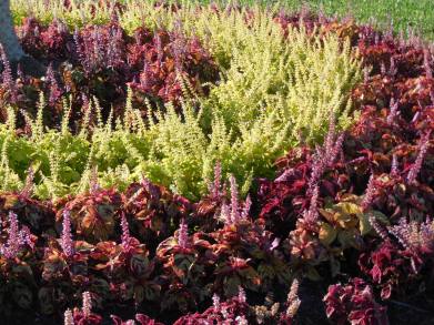 11-4-13 Walk in PC 005