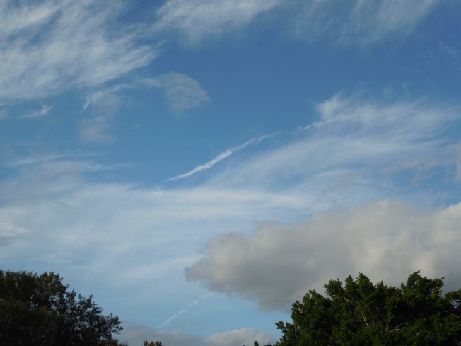 11-6-13 P.G. Walk 001