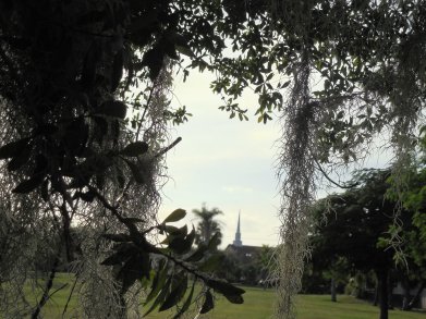 11-6-13 P.G. Walk 010