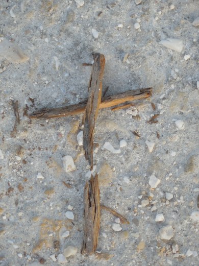 11-6-13 P.G. Walk 033