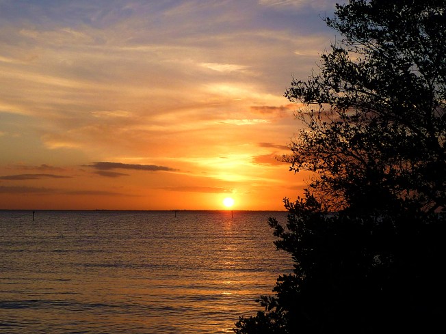 Sunset @ Ponce de Leon Park 11.22.2013 003a