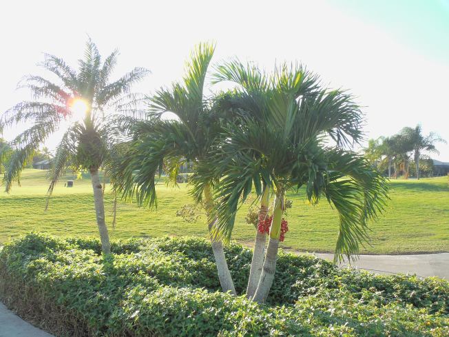 11-28-13-Happy Thanksgiving 163