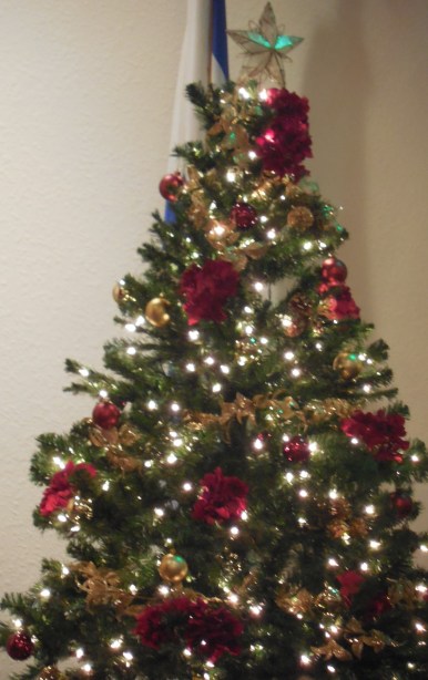 12-12-13 Walk-Christmas Program 064