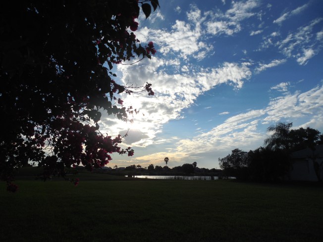 1-3-13 Walk (cold!!!!) 002