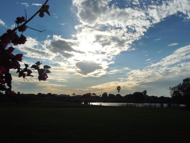 1-3-13 Walk (cold!!!!) 005