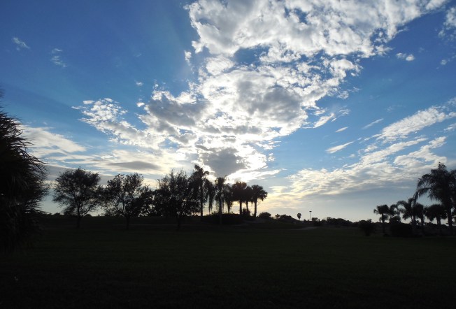 1-3-13 Walk (cold!!!!) 015