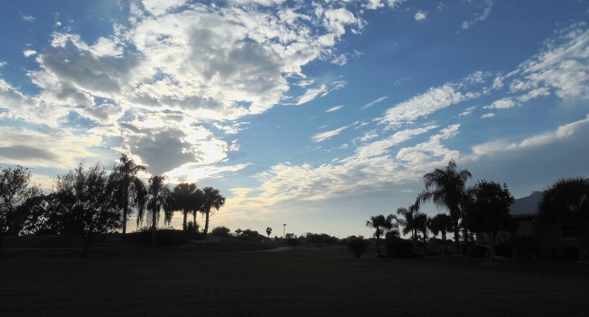 1-3-13 Walk (cold!!!!) 023