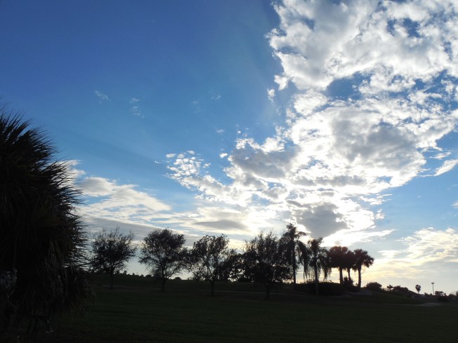 1-3-13 Walk (cold!!!!) 025