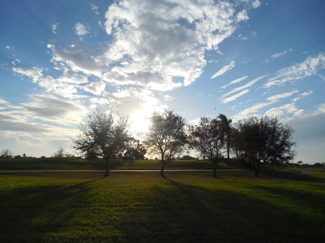 1-3-13 Walk (cold!!!!) 026