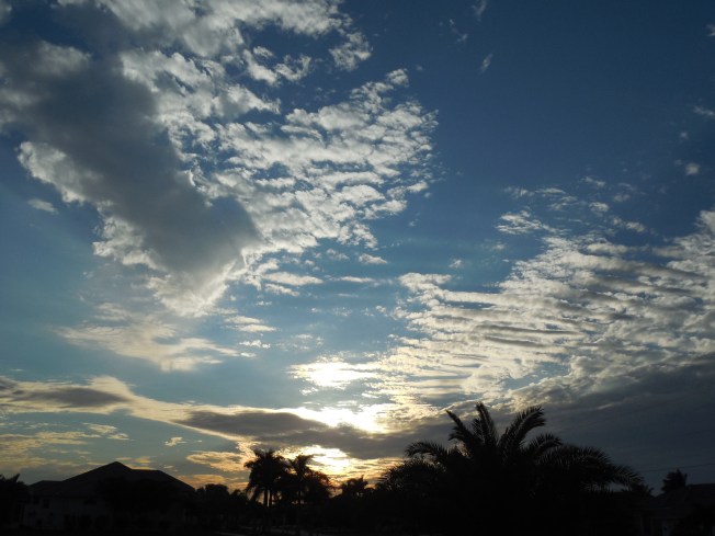 1-3-13 Walk (cold!!!!) 037