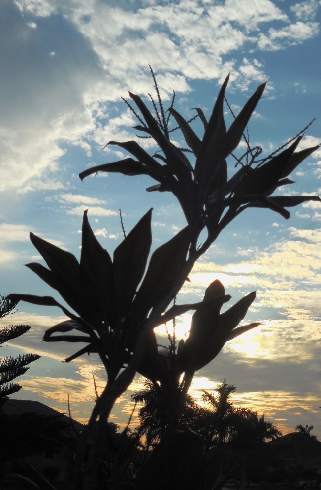 1-3-13 Walk (cold!!!!) 044