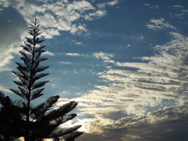 1-3-13 Walk (cold!!!!) 047