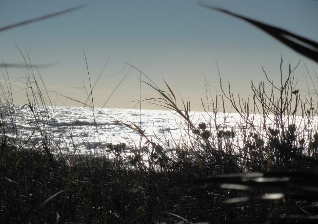 1-18-14-Lisa's Marriage Renewal Vows 005