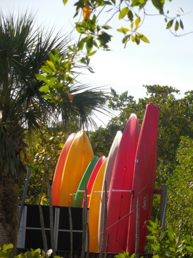 12-9-13-Palm Island 088