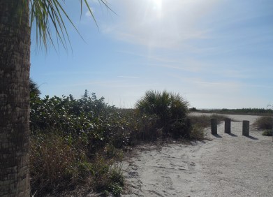 12-9-13-Palm Island 110