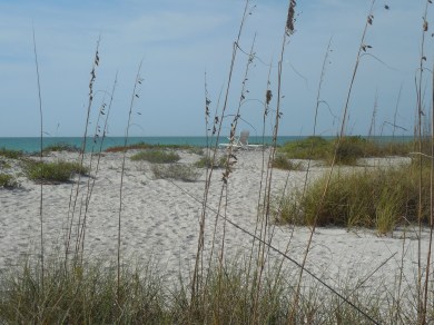 12-9-13-Palm Island 121