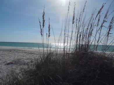 12-9-13-Palm Island 162