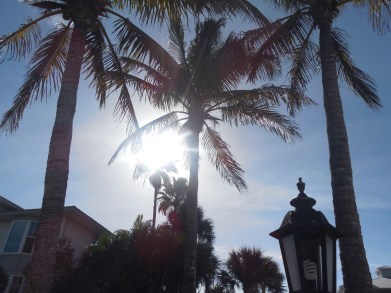 12-9-13-Palm Island 227