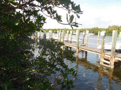 12-9-13-Palm Island 256