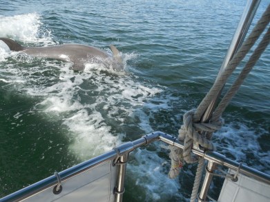 12-9-13-Palm Island 314