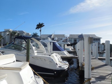 12-9-13-Palm Island 331