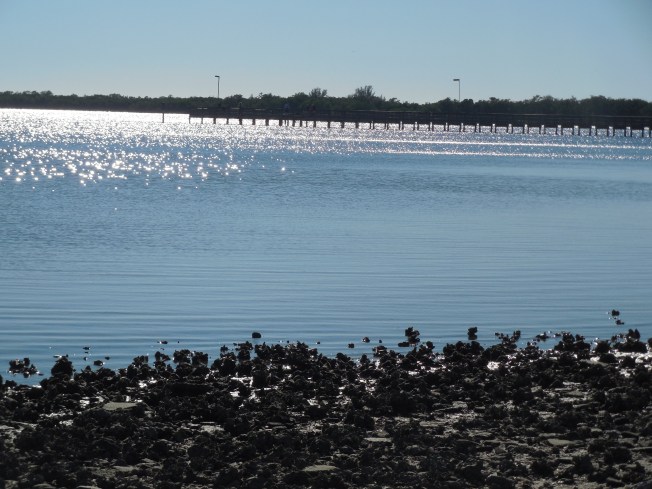 3-12-14 to 3-13-14 Lunch and Harbor Beach 071