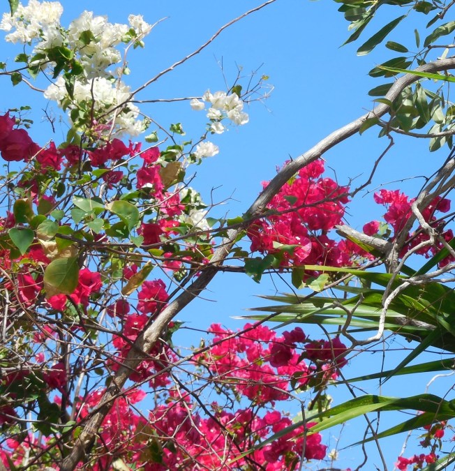 3-15-14 Billy & Cheryl 063