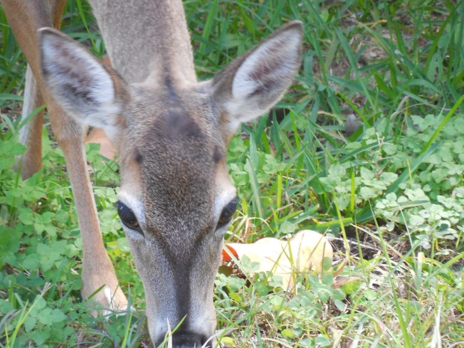 3-15-14 Billy & Cheryl 217