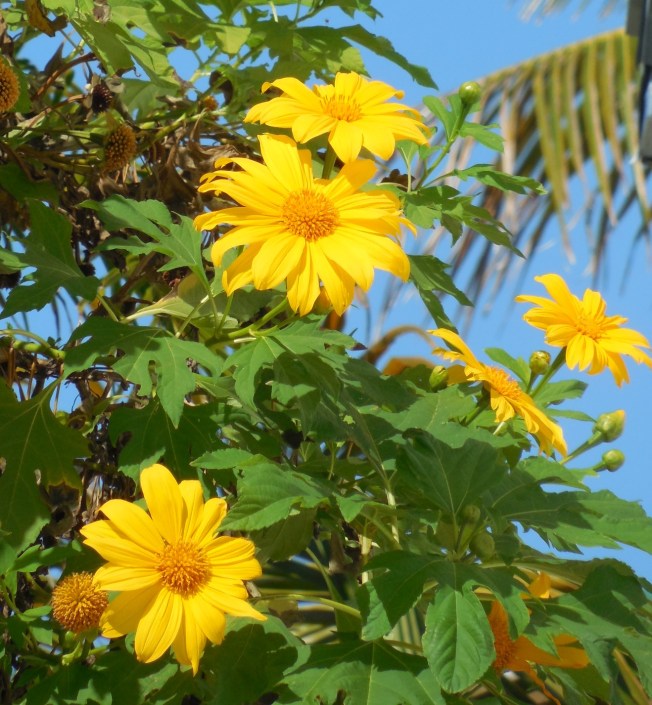 3-15-14 Billy & Cheryl 268