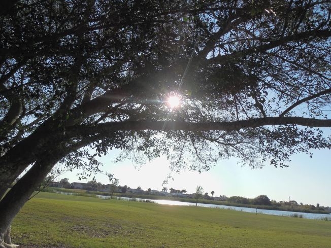 4-27-14 Walk-Palms Nursing Home!! 040