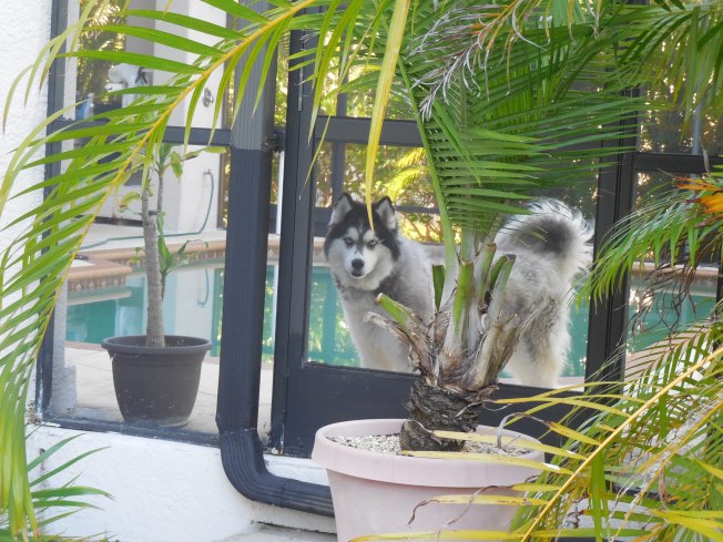 4-3-14 golf course 162