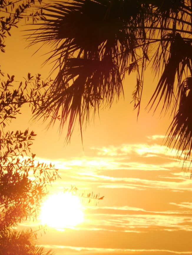 6-29-14 CLC-Painting 087